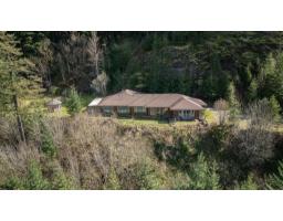 21703 THACKER MTN ROAD|Hope