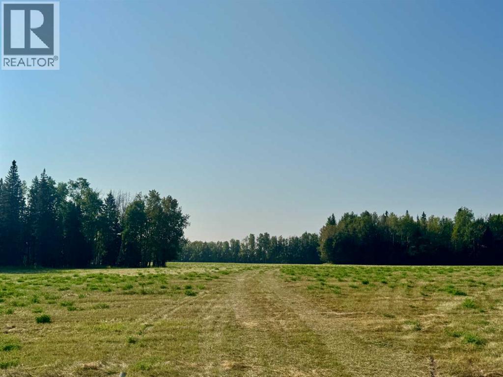 On Range Road 6-0, Rural Clearwater County, Alberta  T0M 0C0 - Photo 3 - A2254667