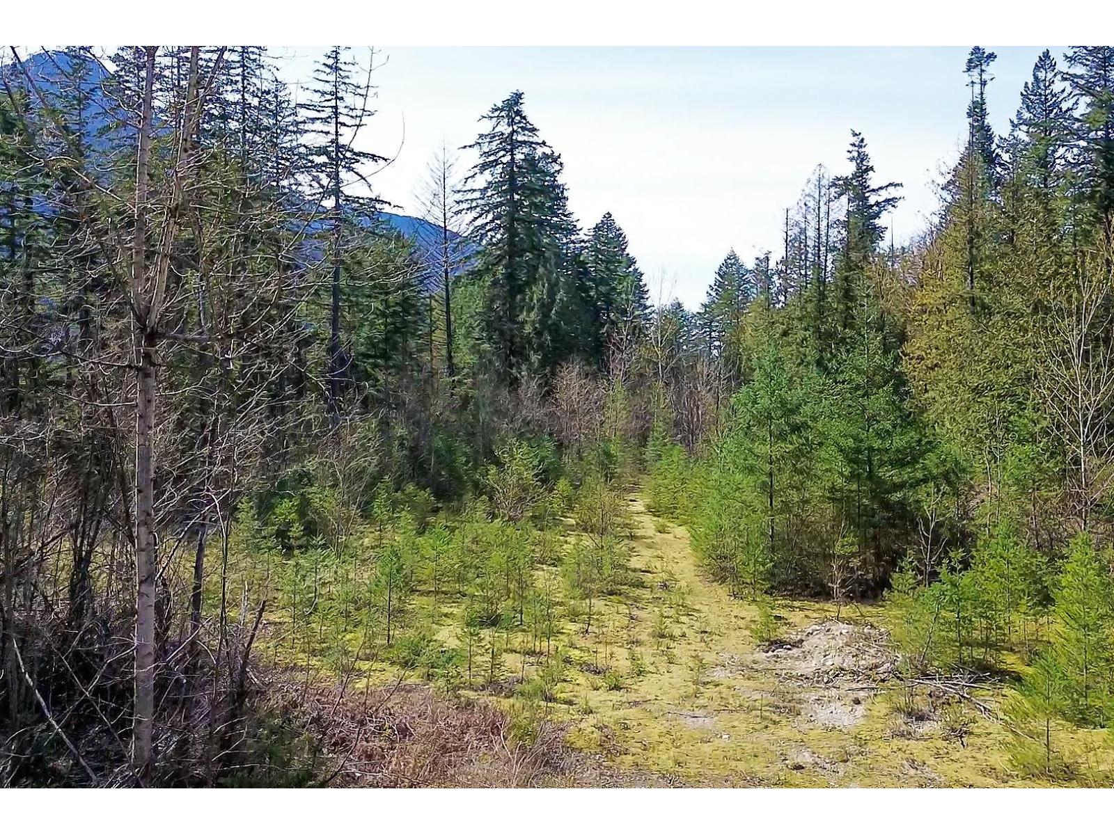 64053 Tom Berry Road, Hope, Hope, British Columbia  V0X 1L2 - Photo 10 - R3046254