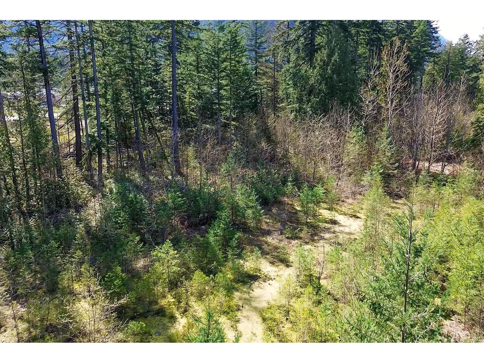 64053 Tom Berry Road, Hope, Hope, British Columbia  V0X 1L2 - Photo 11 - R3046254