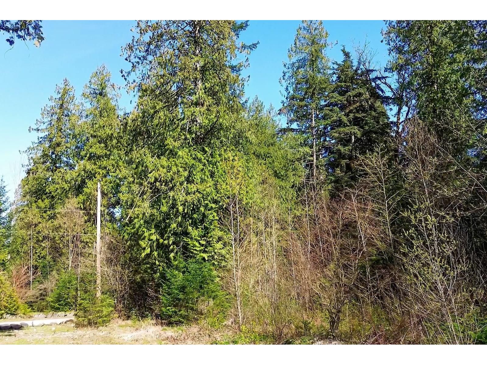 64053 Tom Berry Road, Hope, Hope, British Columbia  V0X 1L2 - Photo 9 - R3046254