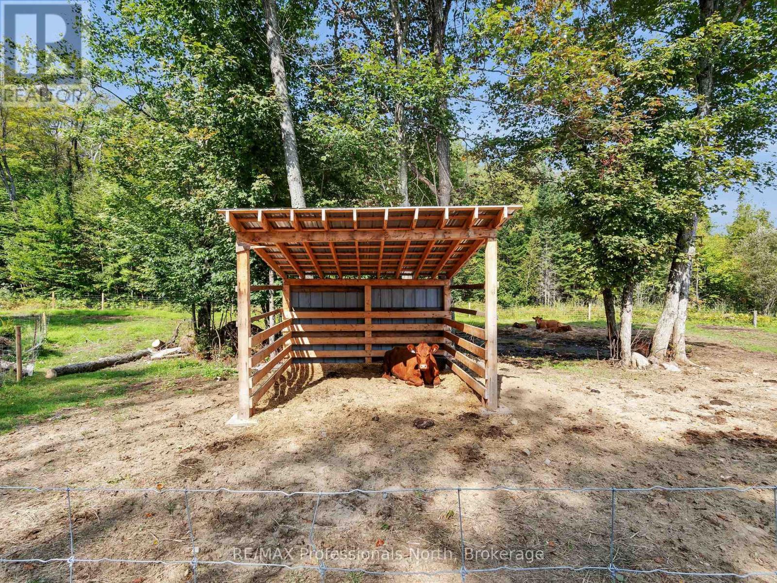 1062 Skyline Drive, Armour, Ontario  P0A 1J0 - Photo 33 - X12397824
