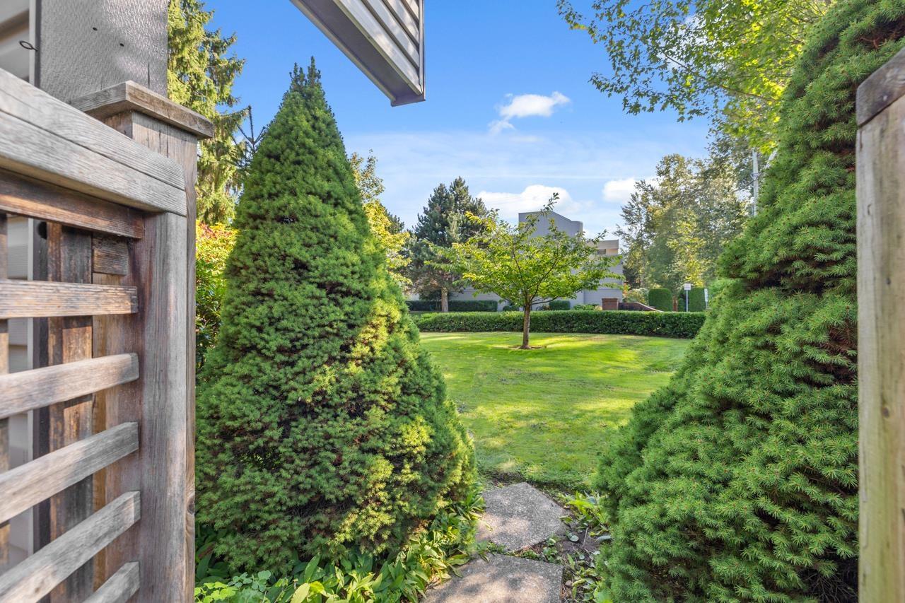 #116 15275 19 Avenue, Surrey, British Columbia  V4A 1X6 - Photo 28 - R3046904