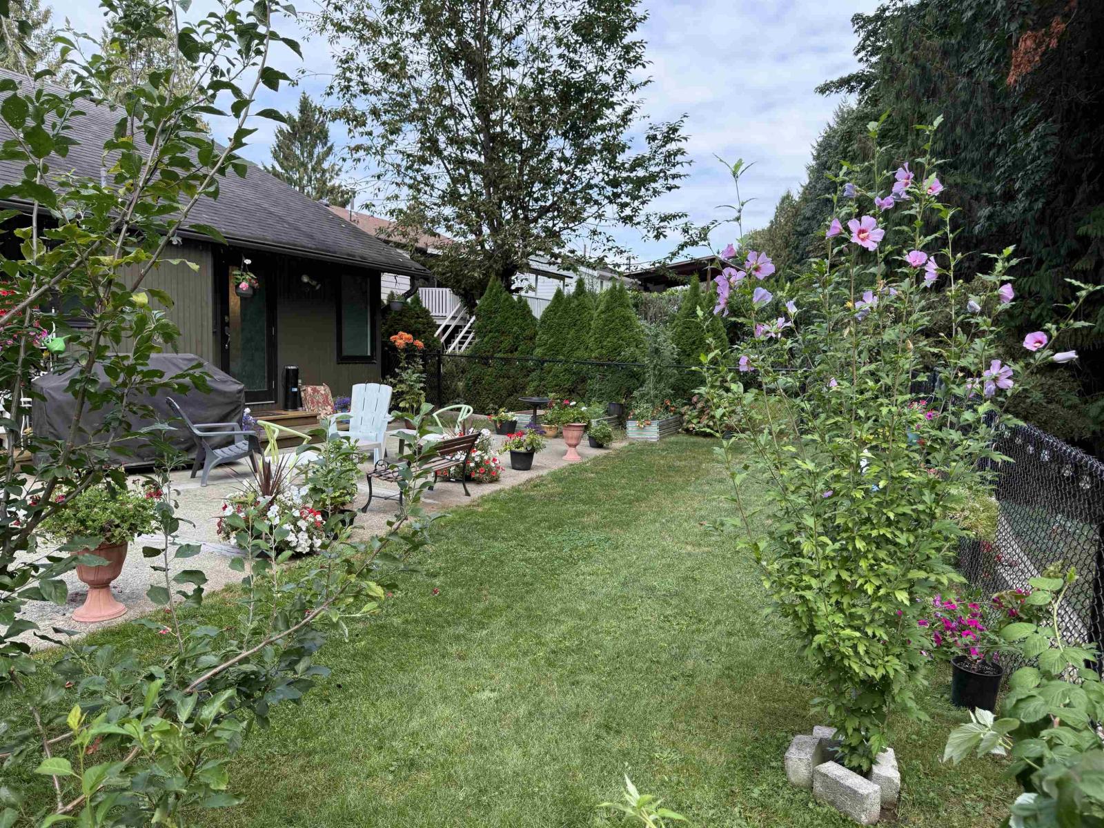 35004 Laburnum Avenue, Abbotsford, British Columbia  V2S 5M7 - Photo 4 - R3046020