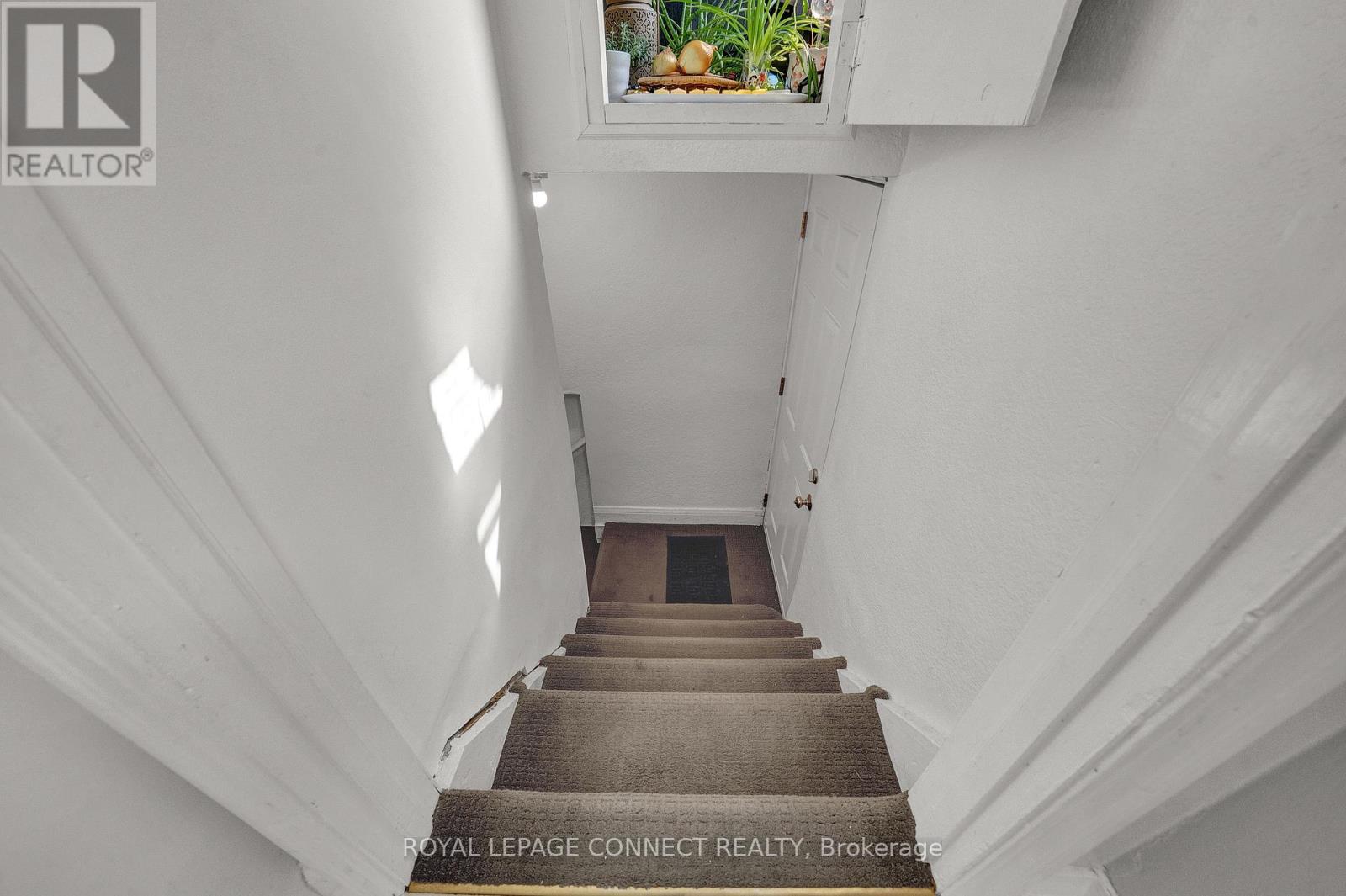 91 Lillington Avenue, Toronto, Ontario  M1N 3K6 - Photo 36 - E12398697