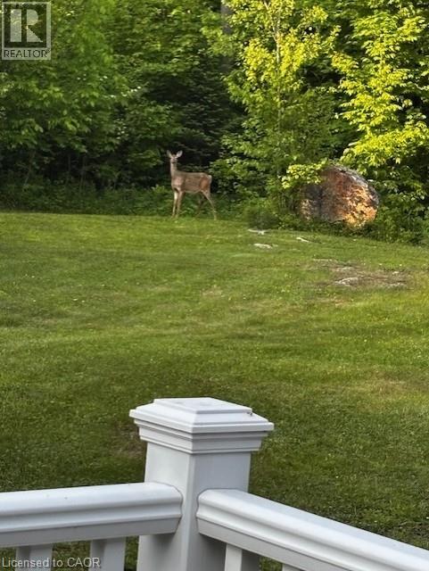 17182 Highway 118, Haliburton, Ontario K0M 1S0 - Photo 50 - 40761139