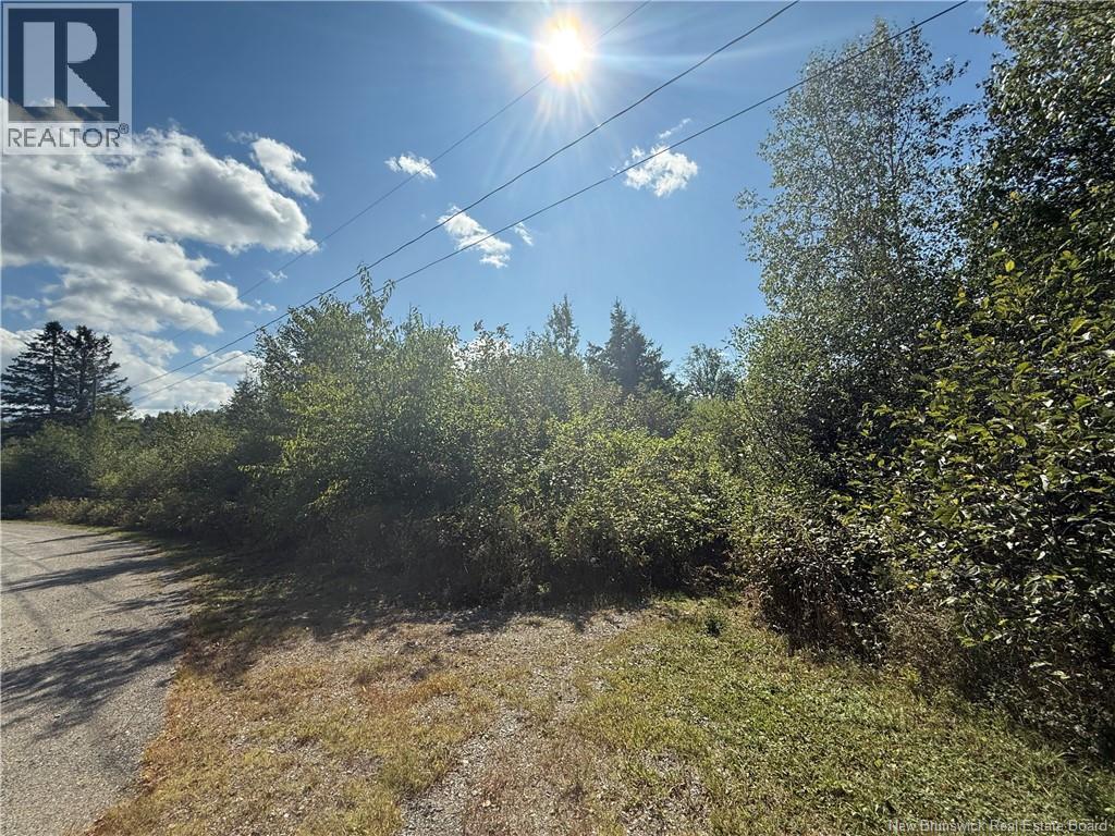 94-3 Sansom Drive, Millville, New Brunswick  E6E 1N9 - Photo 3 - NB126458