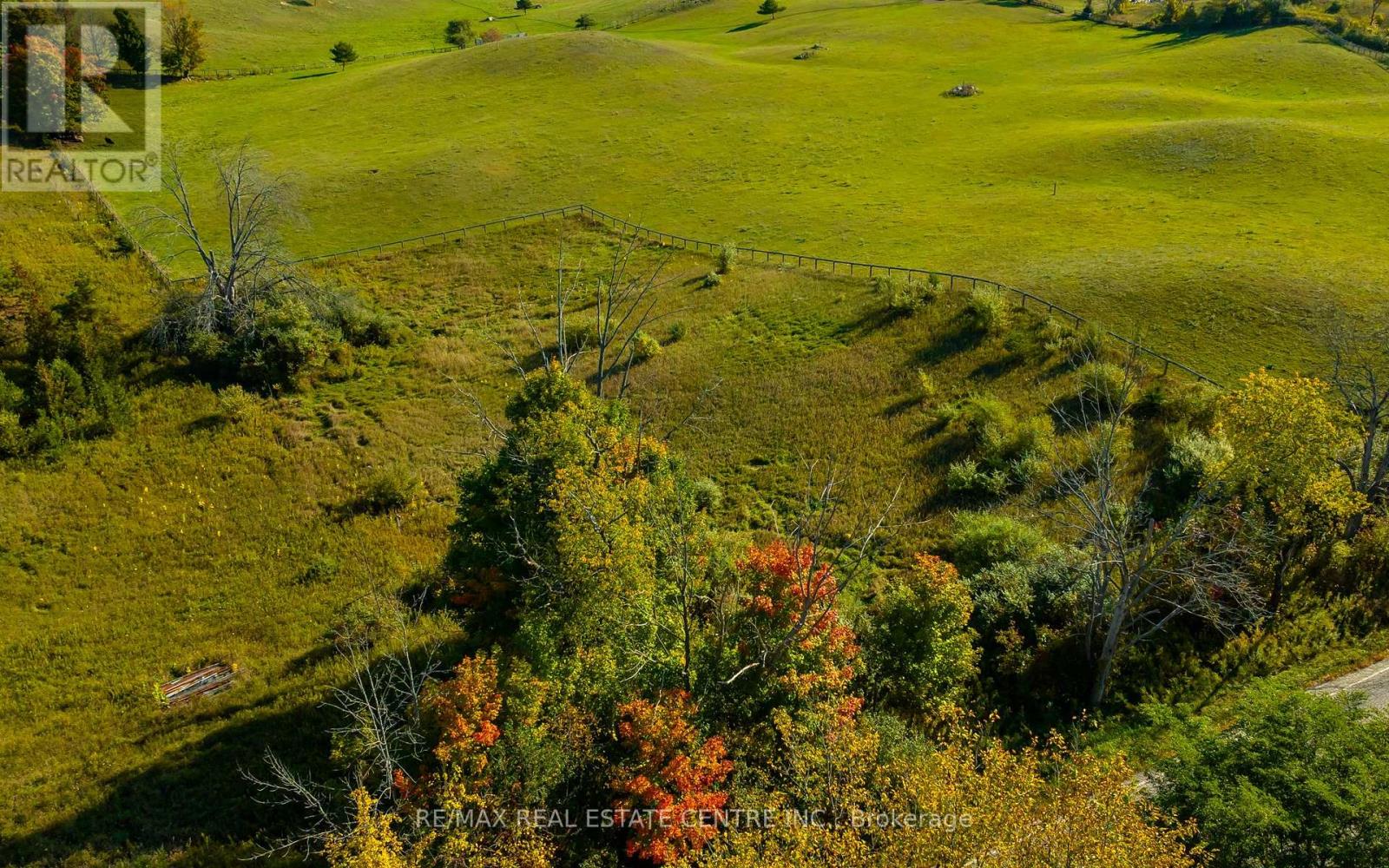 17479 The Gore Road, Caledon, Ontario  L7E 0X6 - Photo 21 - W12399092