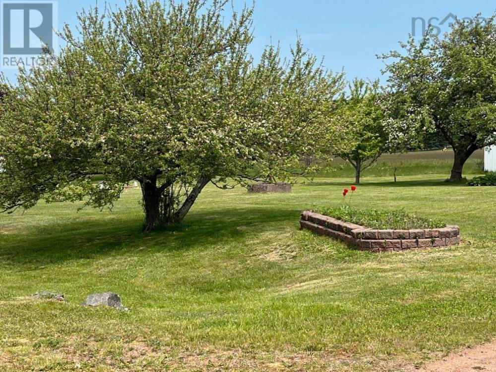 11 Ells Lane, Advocate Harbour, Nova Scotia  B0M 1A0 - Photo 35 - 202513993