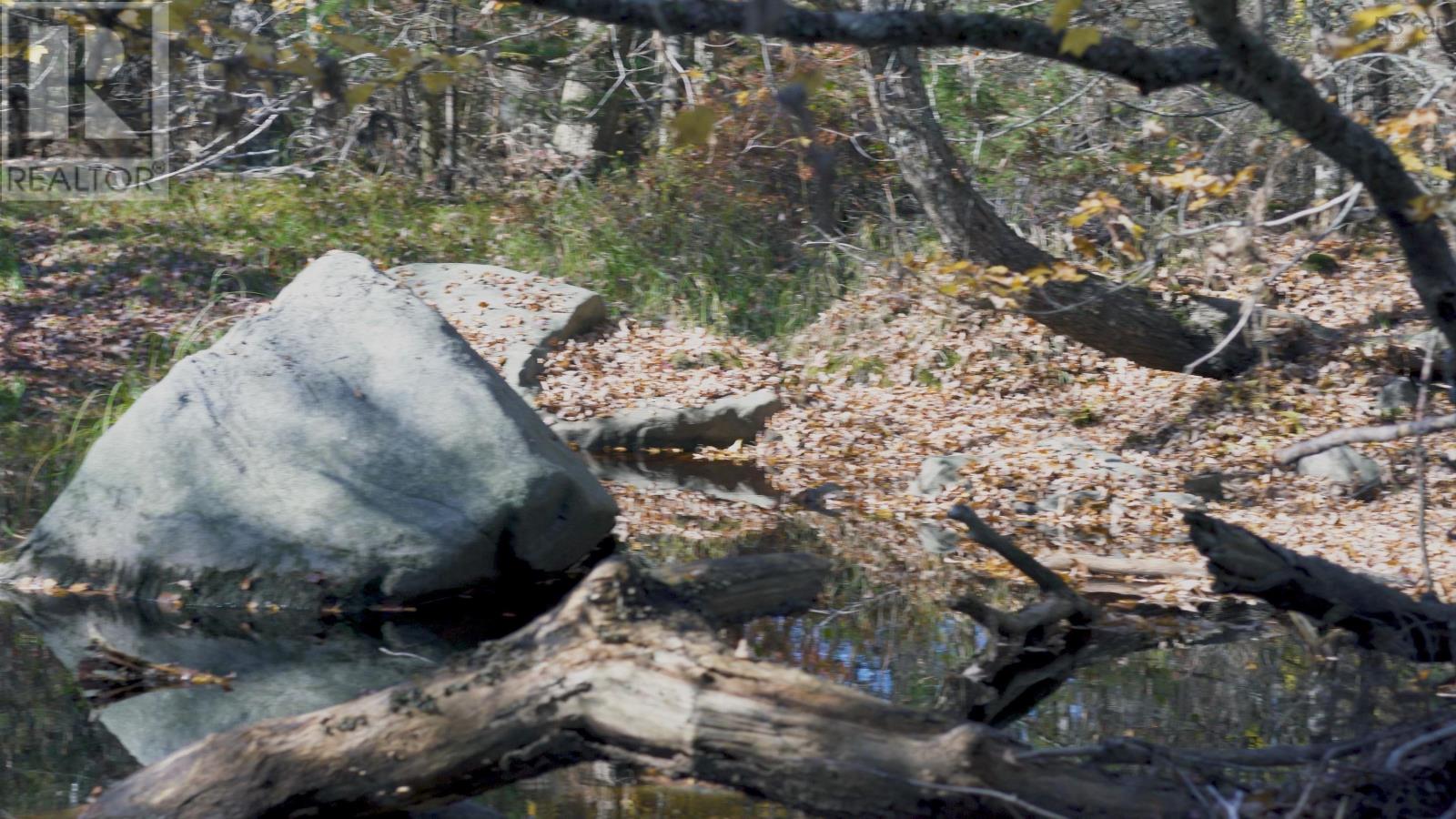 Lot 3 Maple Drive, Lower Ohio, Nova Scotia  B0T 1W0 - Photo 10 - 202508664