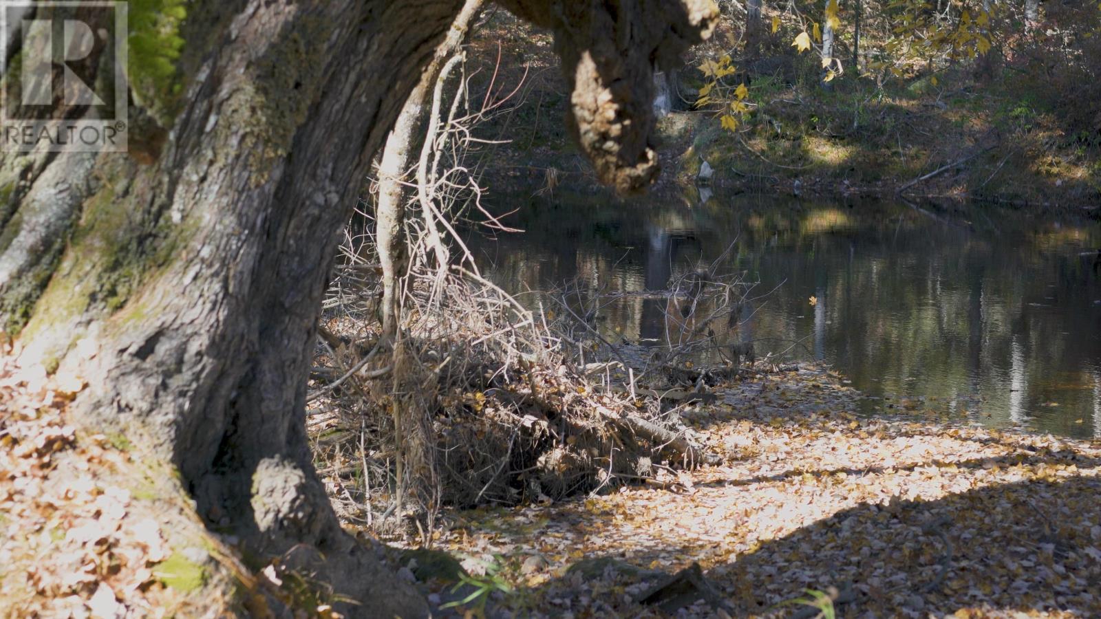 Lot 3 Maple Drive, Lower Ohio, Nova Scotia  B0T 1W0 - Photo 18 - 202508664