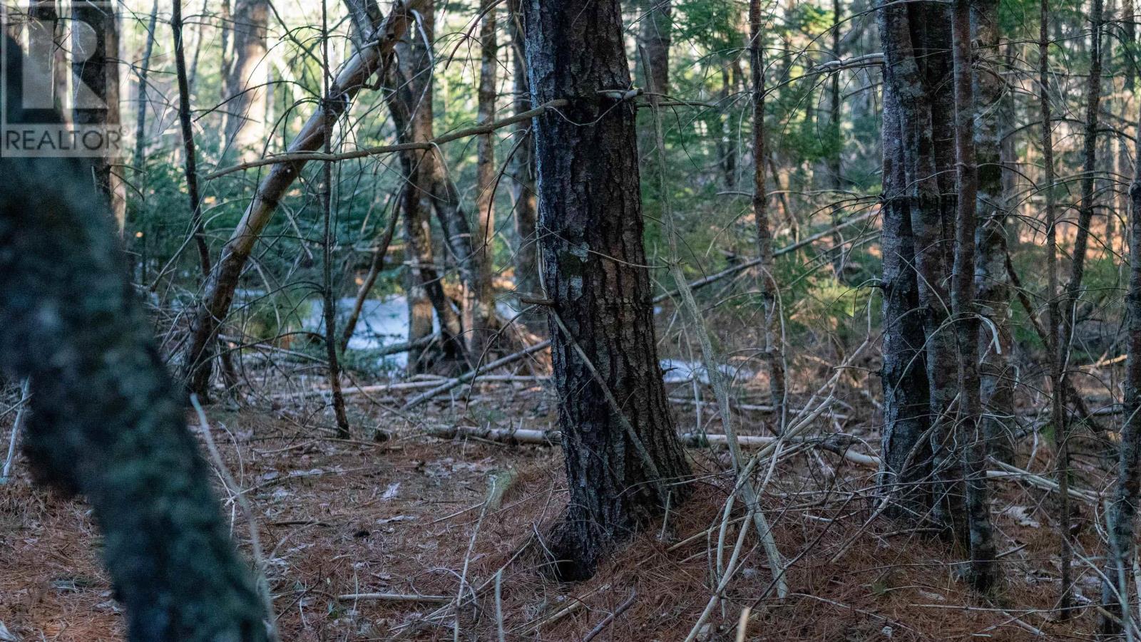 Lot 3 Maple Drive, Lower Ohio, Nova Scotia  B0T 1W0 - Photo 6 - 202508664