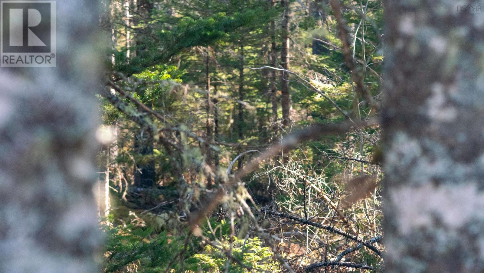 Lot 13 Maple Drive, Lower Ohio, Nova Scotia  B0T 1W0 - Photo 13 - 202508666
