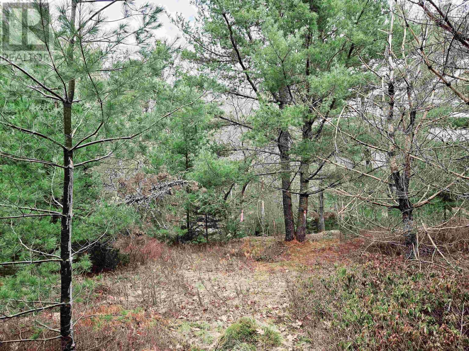 Lot 13 Maple Drive, Lower Ohio, Nova Scotia  B0T 1W0 - Photo 3 - 202508666