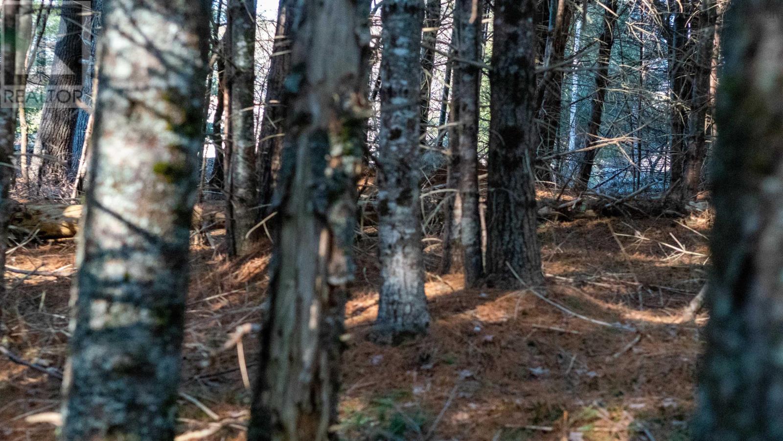 Lot 3 Maple Drive, Lower Ohio, Nova Scotia  B0T 1W0 - Photo 9 - 202508664