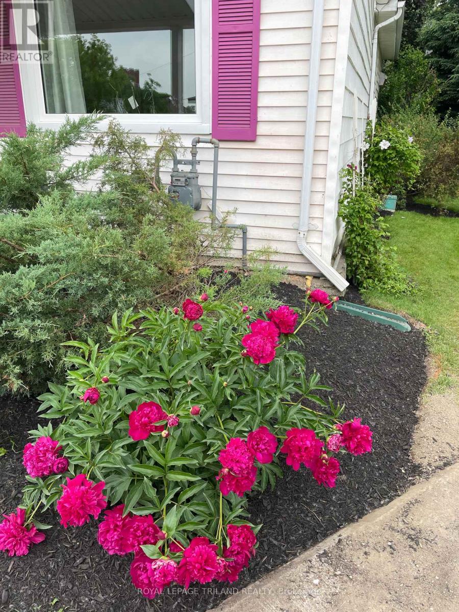 209 Water Street, Lucan Biddulph, Ontario  N0M 2J0 - Photo 36 - X12249756