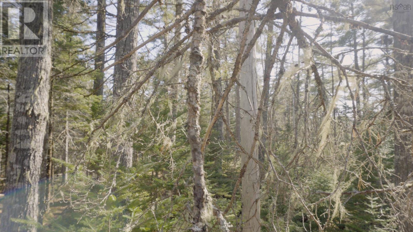 Lot 14 Maple Drive, Lower Ohio, Nova Scotia  B0T 1W0 - Photo 16 - 202508667