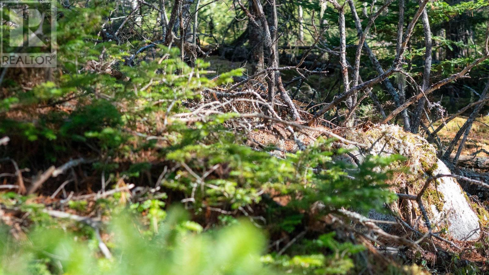 Lot 14 Maple Drive, Lower Ohio, Nova Scotia  B0T 1W0 - Photo 8 - 202508667
