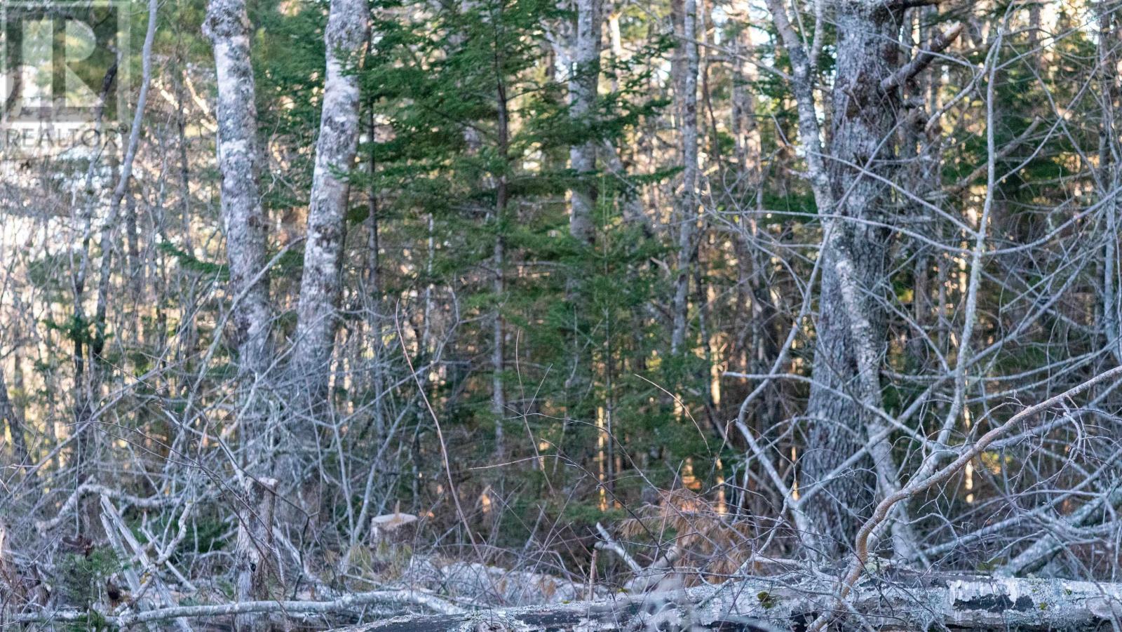 Lot 14 Maple Drive, Lower Ohio, Nova Scotia  B0T 1W0 - Photo 15 - 202508667