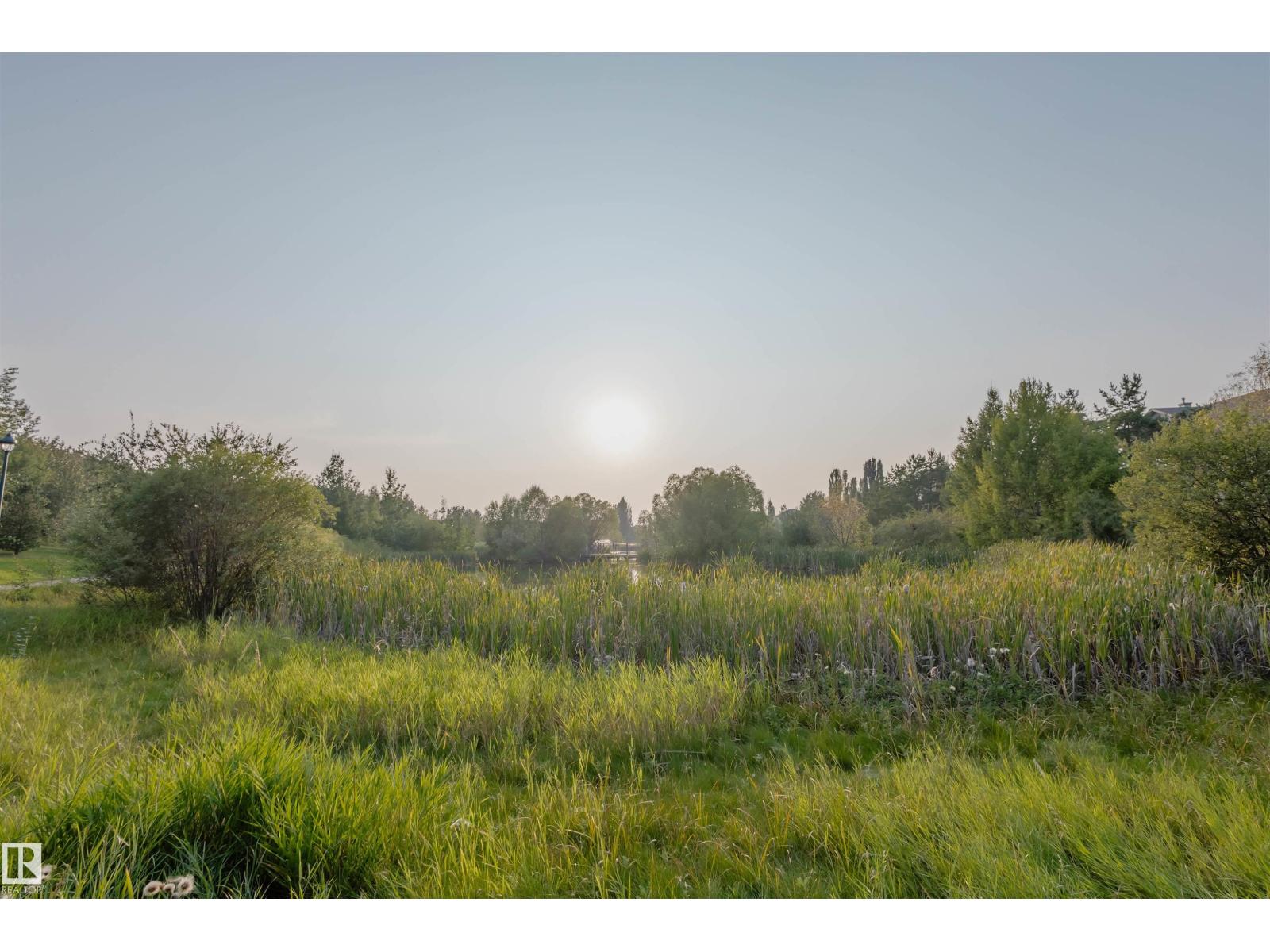 1517 Rutherford Rd Sw, Edmonton, Alberta  T6W 1V9 - Photo 43 - E4457403