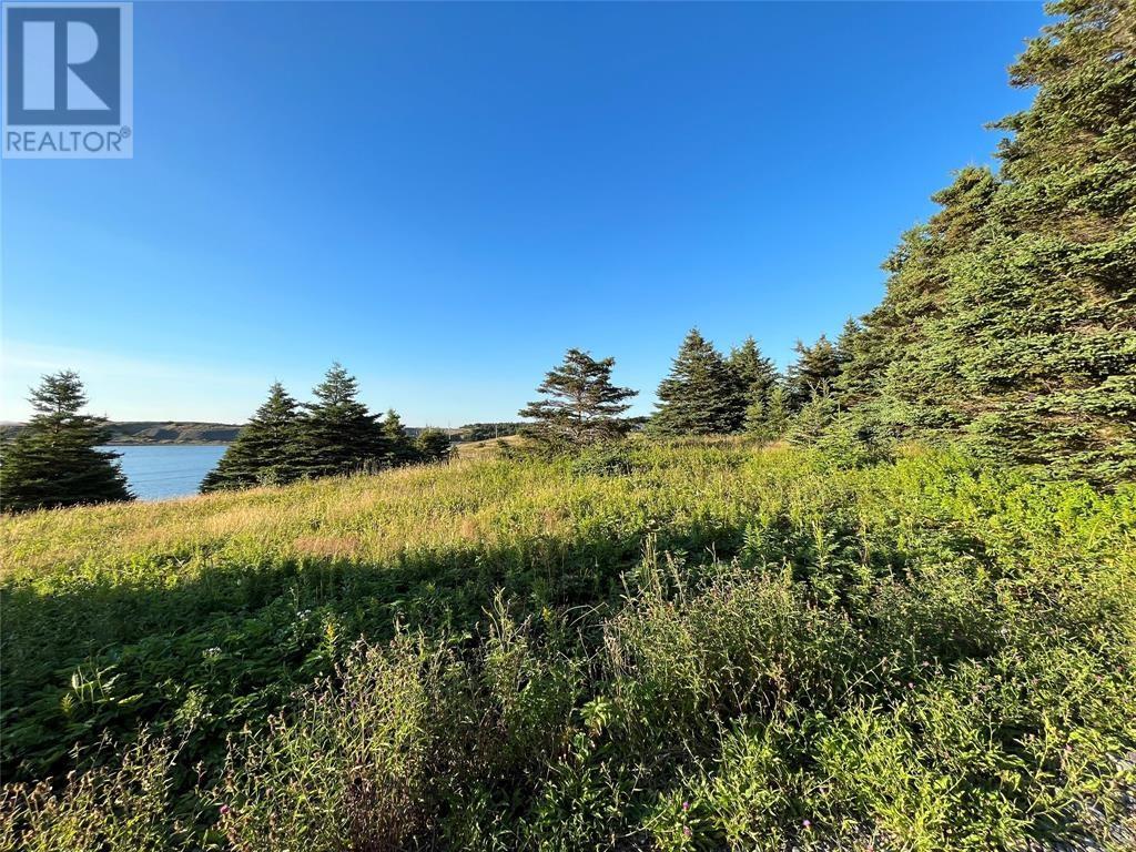 117 Cape Shore Highway, Point Verde, Newfoundland & Labrador  A0B 2Y0 - Photo 1 - 1290366