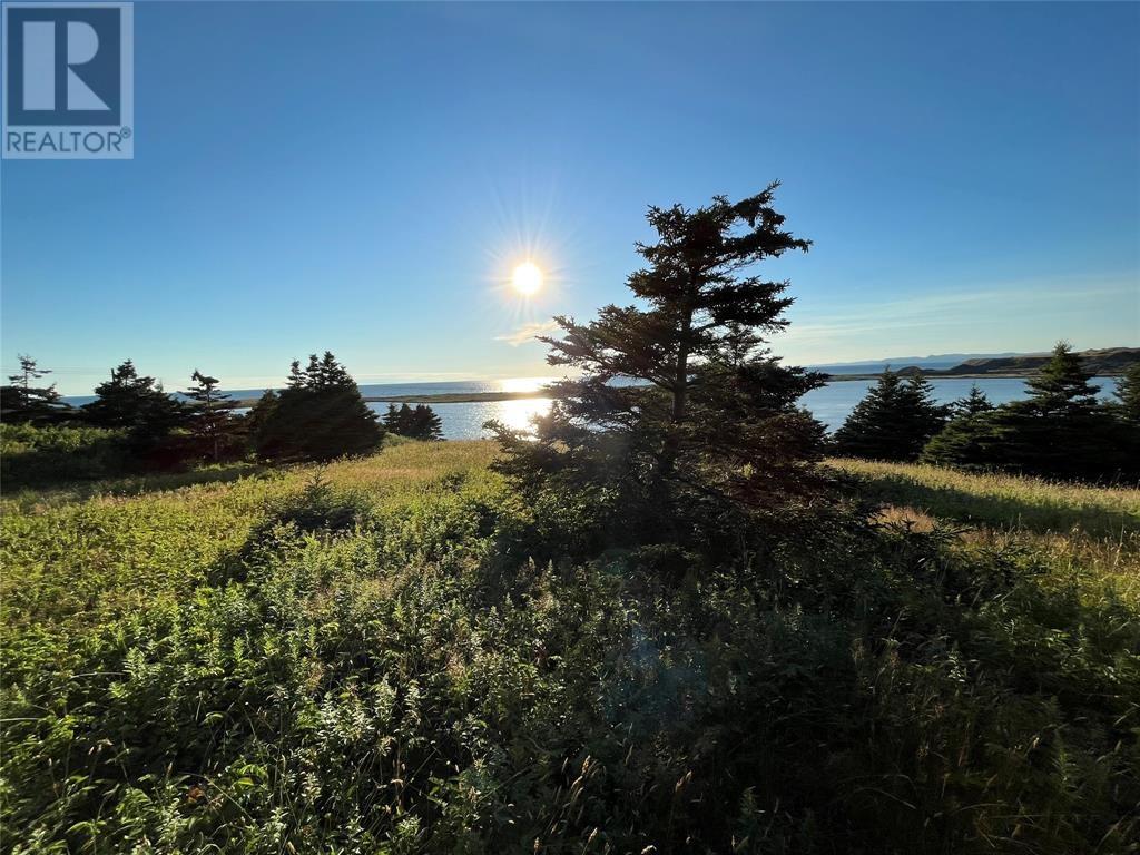 117 Cape Shore Highway, Point Verde, Newfoundland & Labrador  A0B 2Y0 - Photo 2 - 1290366