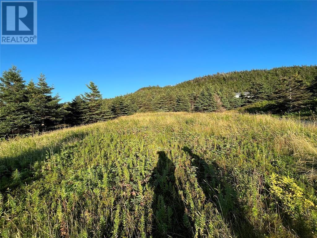 117 Cape Shore Highway, Point Verde, Newfoundland & Labrador  A0B 2Y0 - Photo 3 - 1290366