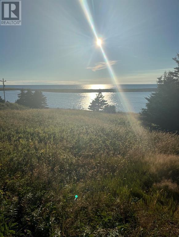 117 Cape Shore Highway, Point Verde, Newfoundland & Labrador  A0B 2Y0 - Photo 6 - 1290366