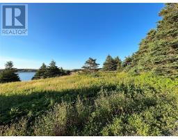 117 Cape Shore Highway, Point Verde, Newfoundland & Labrador