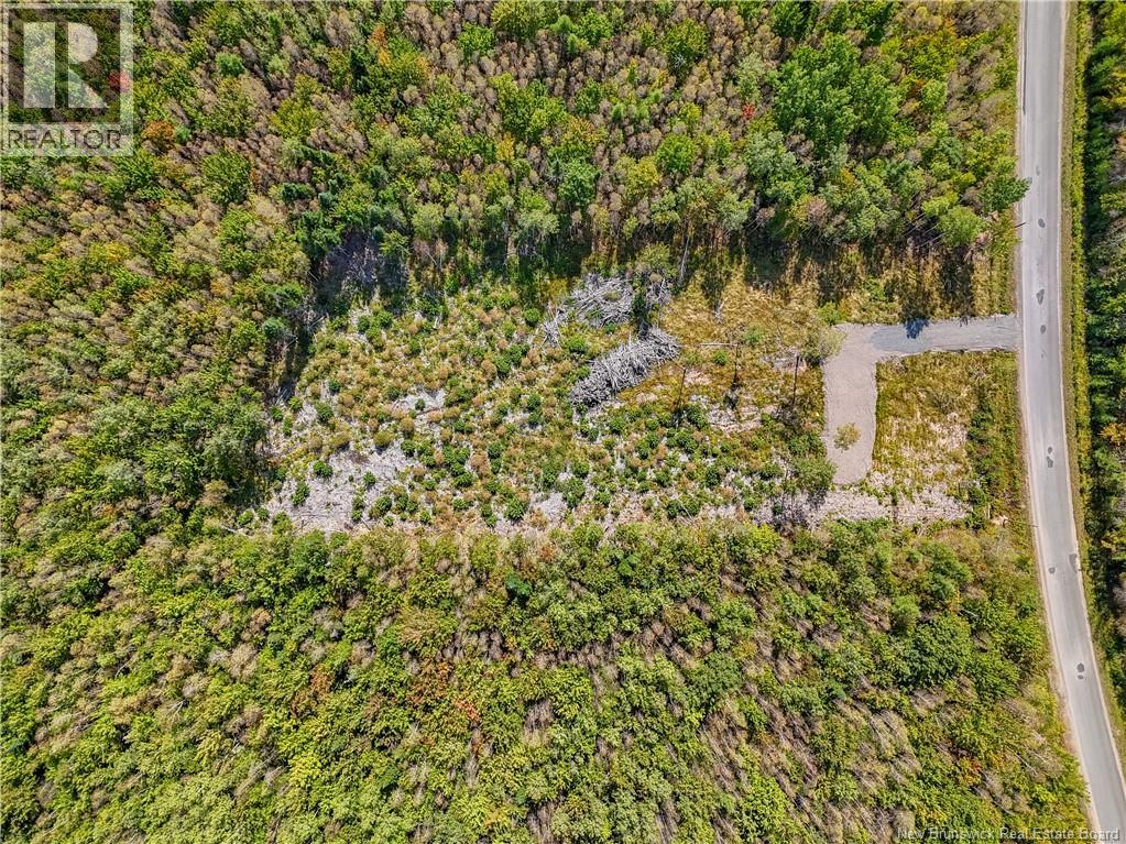 Lot Post Road, Rusagonis, New Brunswick  E3B 7Y2 - Photo 8 - NB126574
