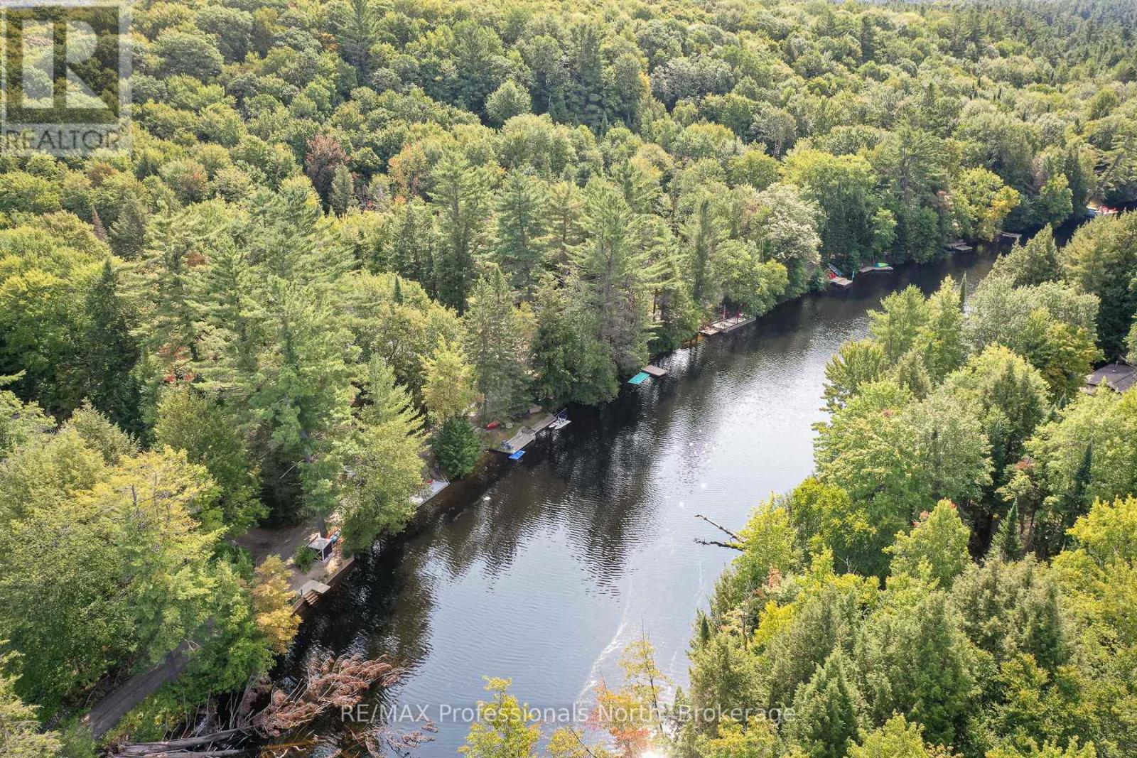 1019 Springdale Shores Pvt, Bracebridge, Ontario  P1L 1W9 - Photo 22 - X12398879