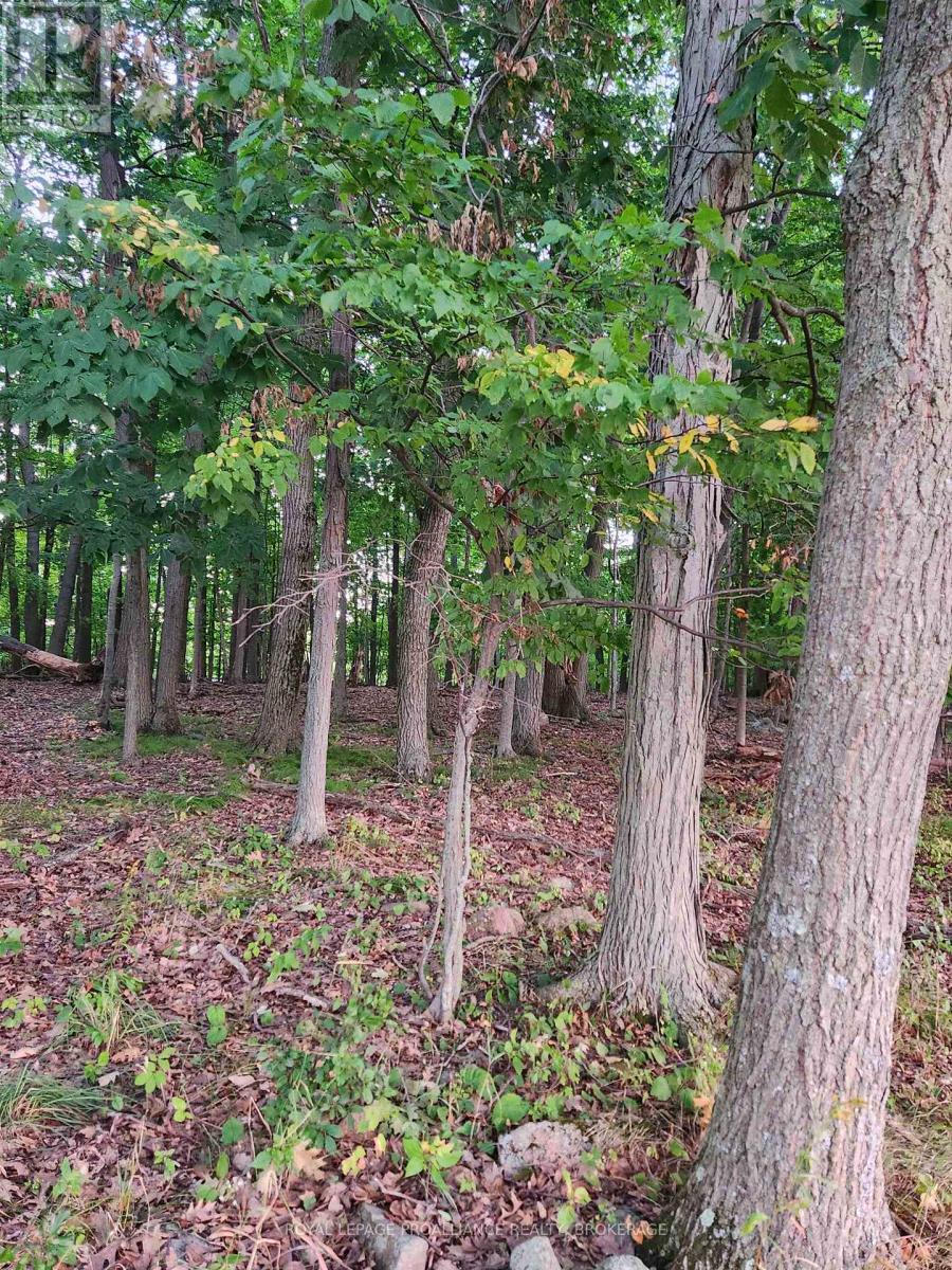 Pt Lt 8 Road 96, Frontenac Islands, Ontario  K0H 2Y0 - Photo 4 - X12399280