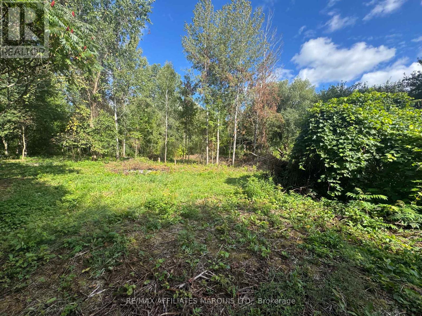 Lot Lapierre Road, South Glengarry, Ontario  K0C 2E0 - Photo 3 - X12372887