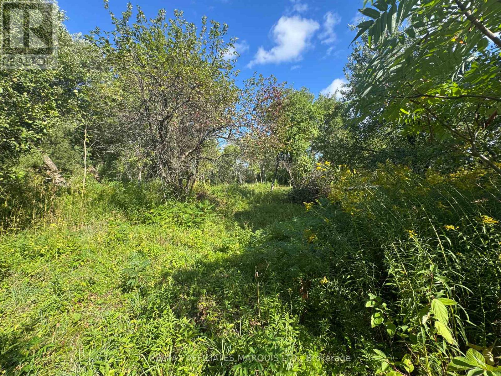 Lot Lapierre Road, South Glengarry, Ontario  K0C 2E0 - Photo 4 - X12372887