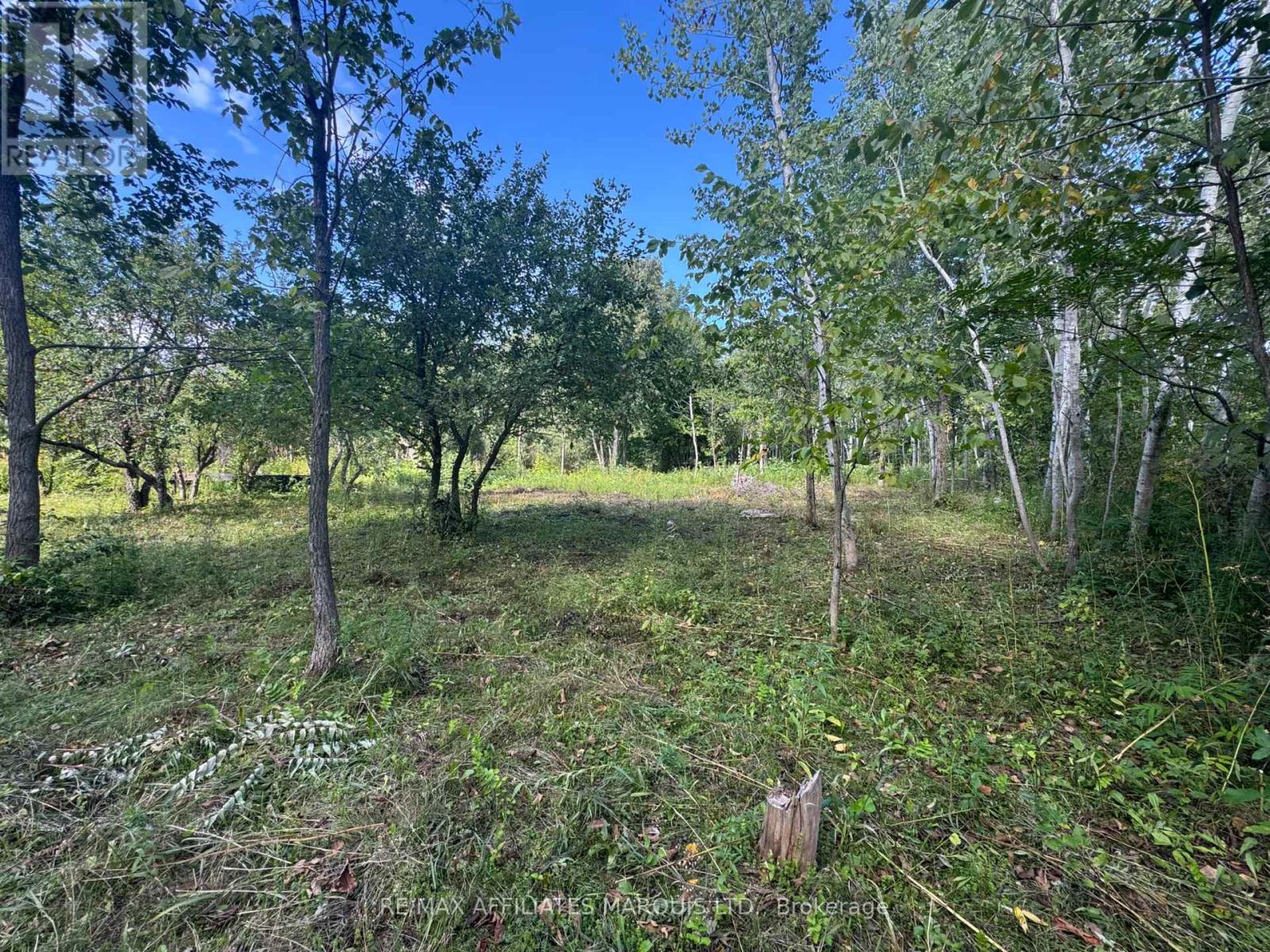 Lot Lapierre Road, South Glengarry, Ontario  K0C 2E0 - Photo 2 - X12372887