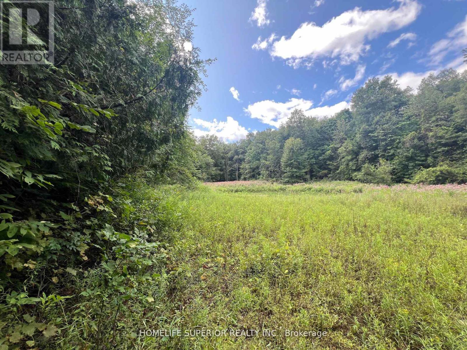 985 Twiddy Road, Centre Hastings, Ontario  K0K 2M0 - Photo 28 - X12399242