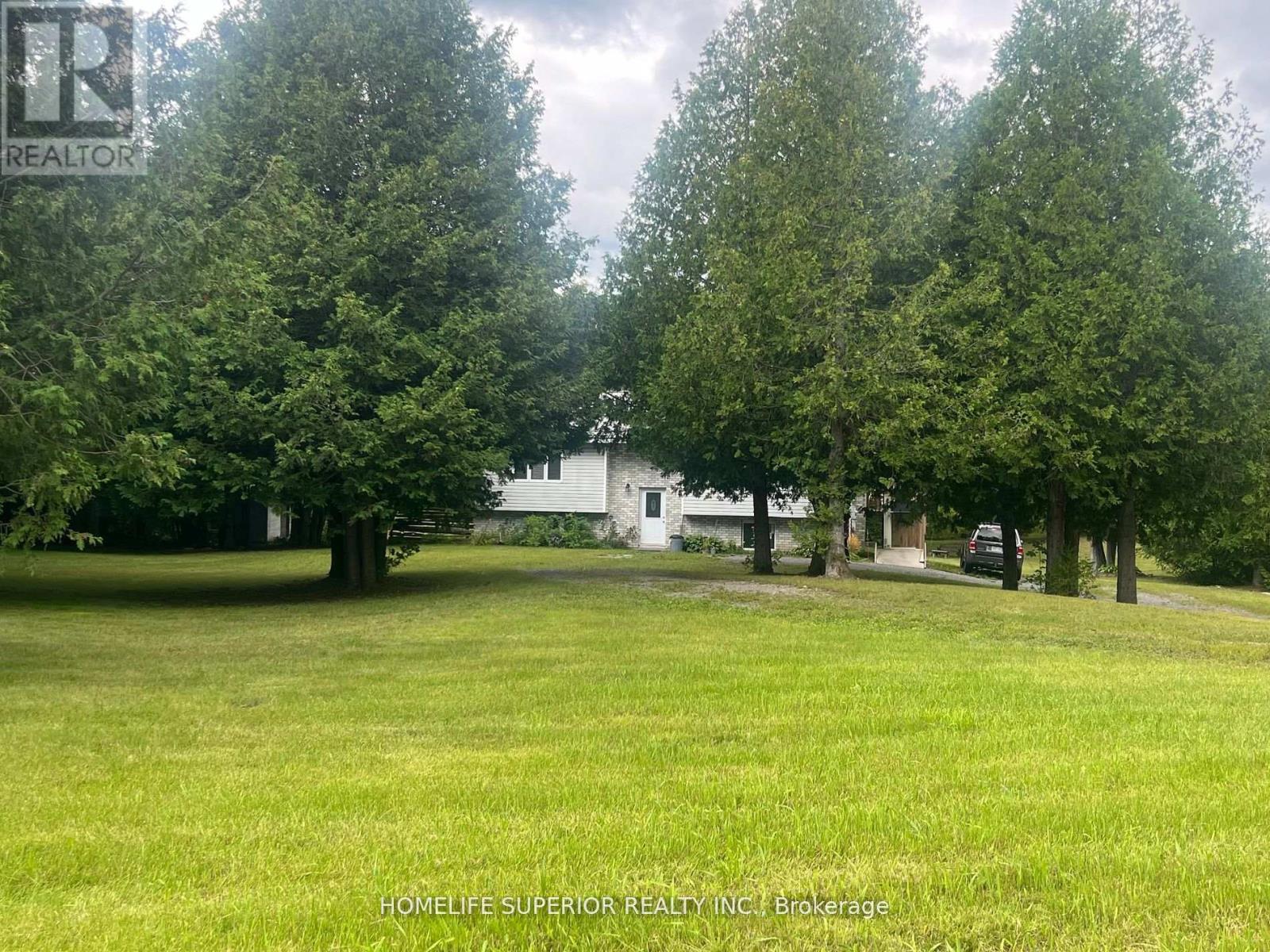 985 Twiddy Road, Centre Hastings, Ontario  K0K 2M0 - Photo 29 - X12399242