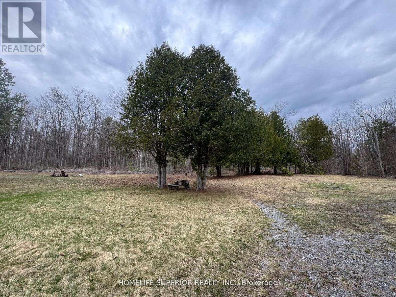 985 Twiddy Road, Centre Hastings, Ontario  K0K 2M0 - Photo 30 - X12399242