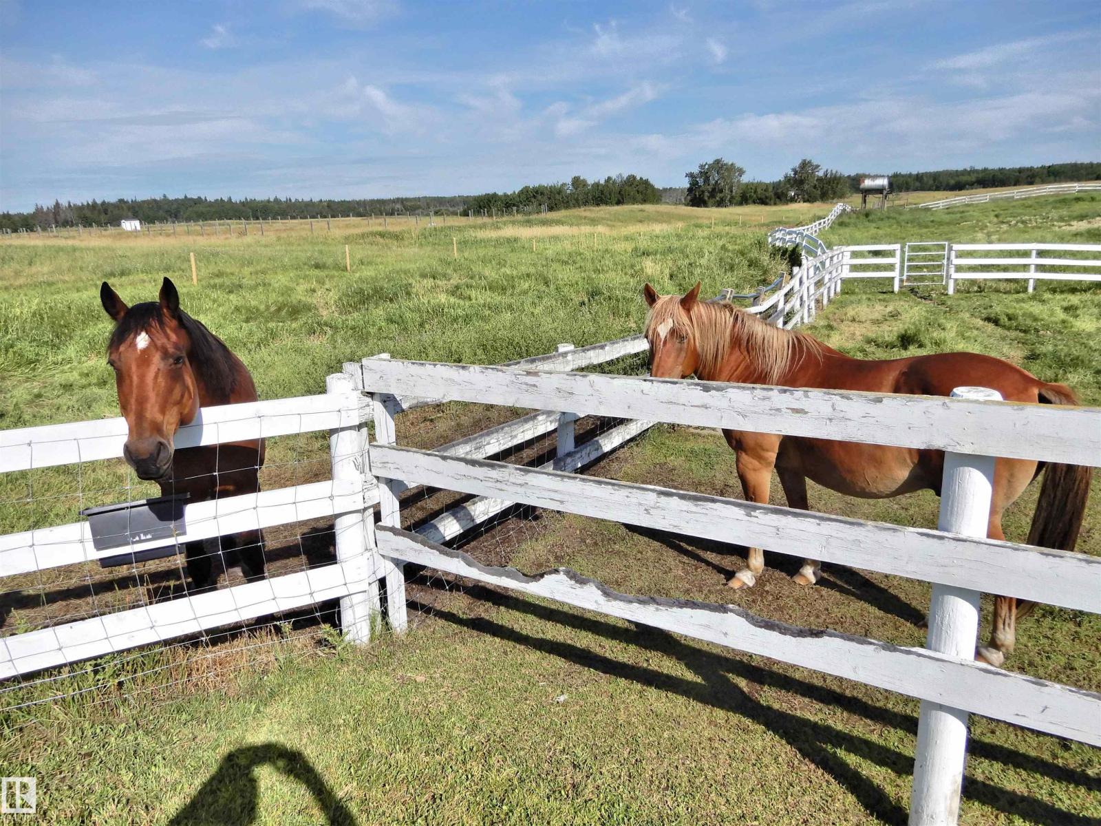 1320 Twsp 570, Rural Barrhead County, Alberta  T0E 1V0 - Photo 28 - E4457410