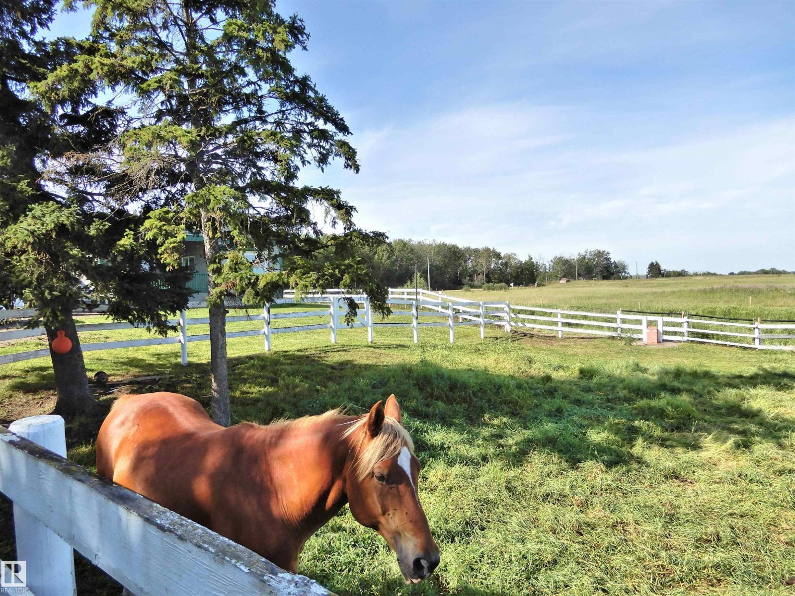 1320 Twsp 570, Rural Barrhead County, Alberta  T0E 1V0 - Photo 29 - E4457410