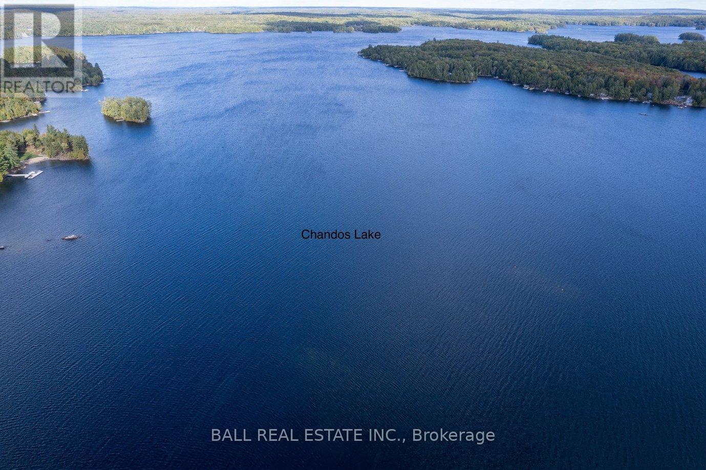 45 Hemlock Point Road, North Kawartha, Ontario  K0L 1A0 - Photo 3 - X12389129