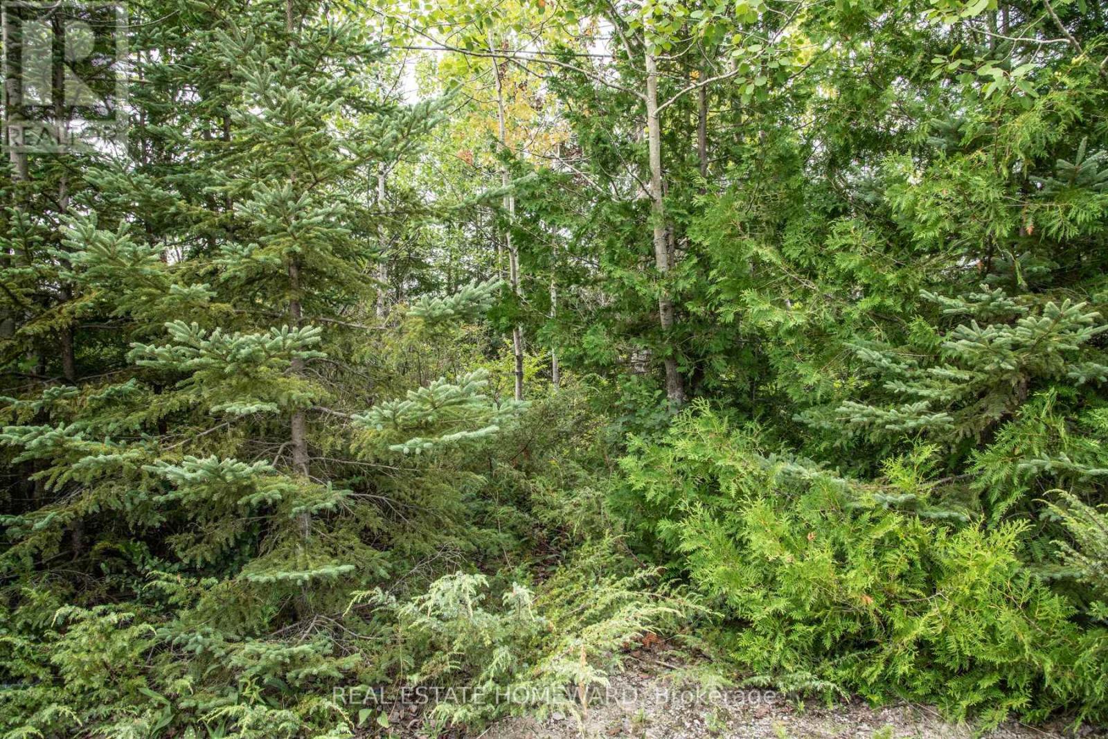 254-256 Mcguire Beach Road, Kawartha Lakes (Carden), Ontario  K0M 2B0 - Photo 3 - X12399282