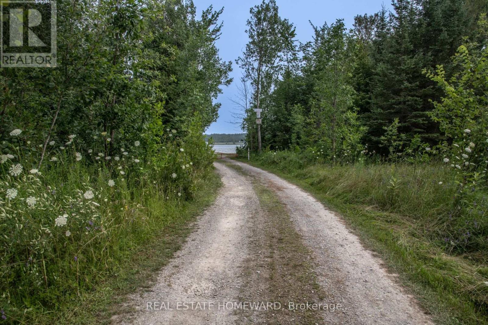 254-256 Mcguire Beach Road, Kawartha Lakes (Carden), Ontario  K0M 2B0 - Photo 8 - X12399282
