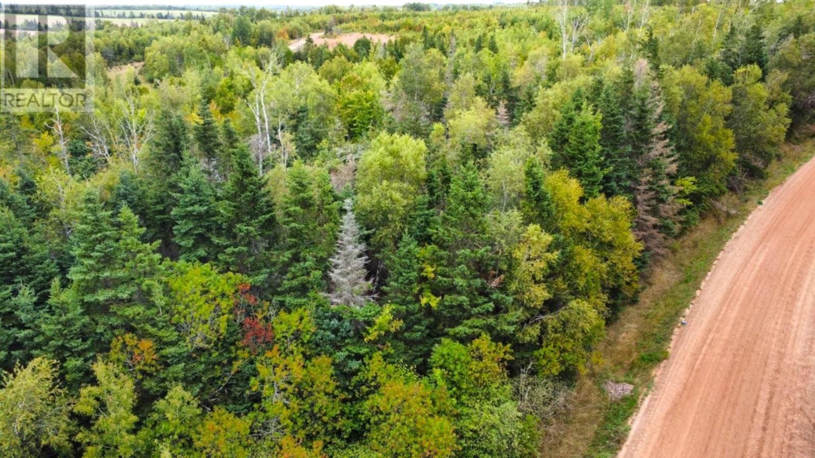 Lorem Ipsum Dolor Sit Amet,, Bellevue, Prince Edward Island  C0A  - Photo 10 - DEMO28853710