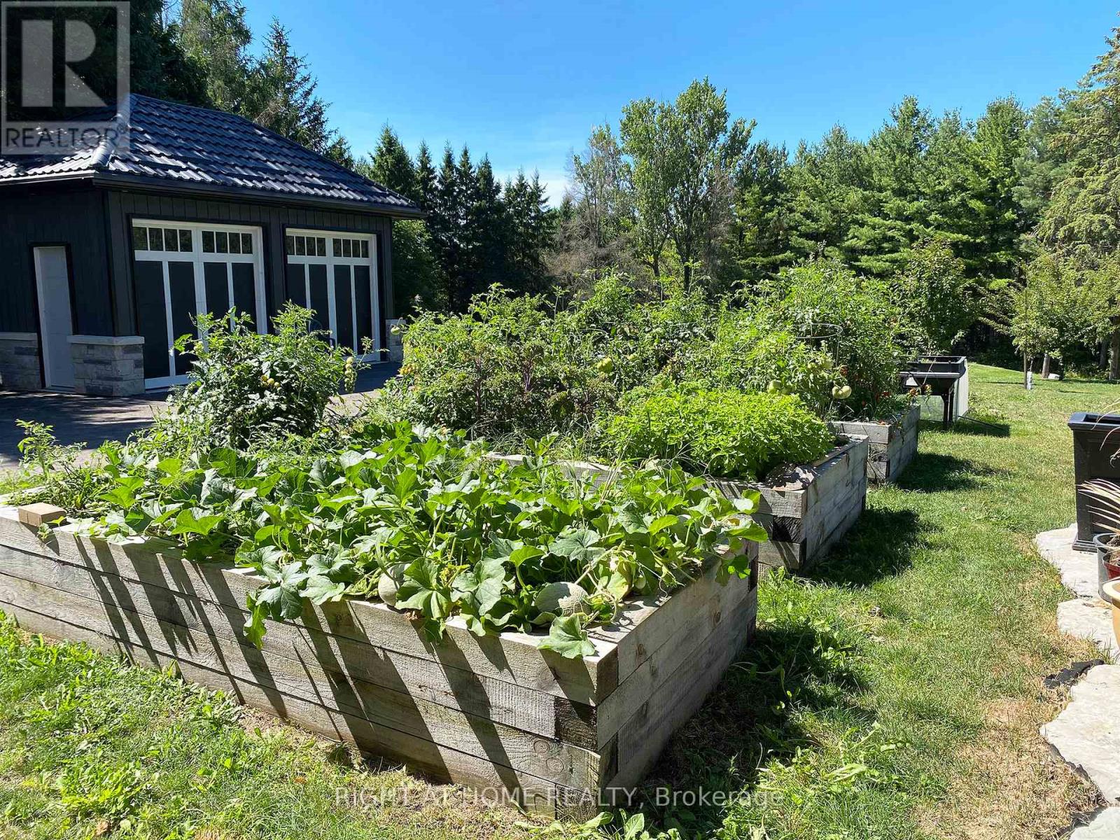 15670 10th Concession Road, King, Ontario  L0G 1T0 - Photo 34 - N12364459