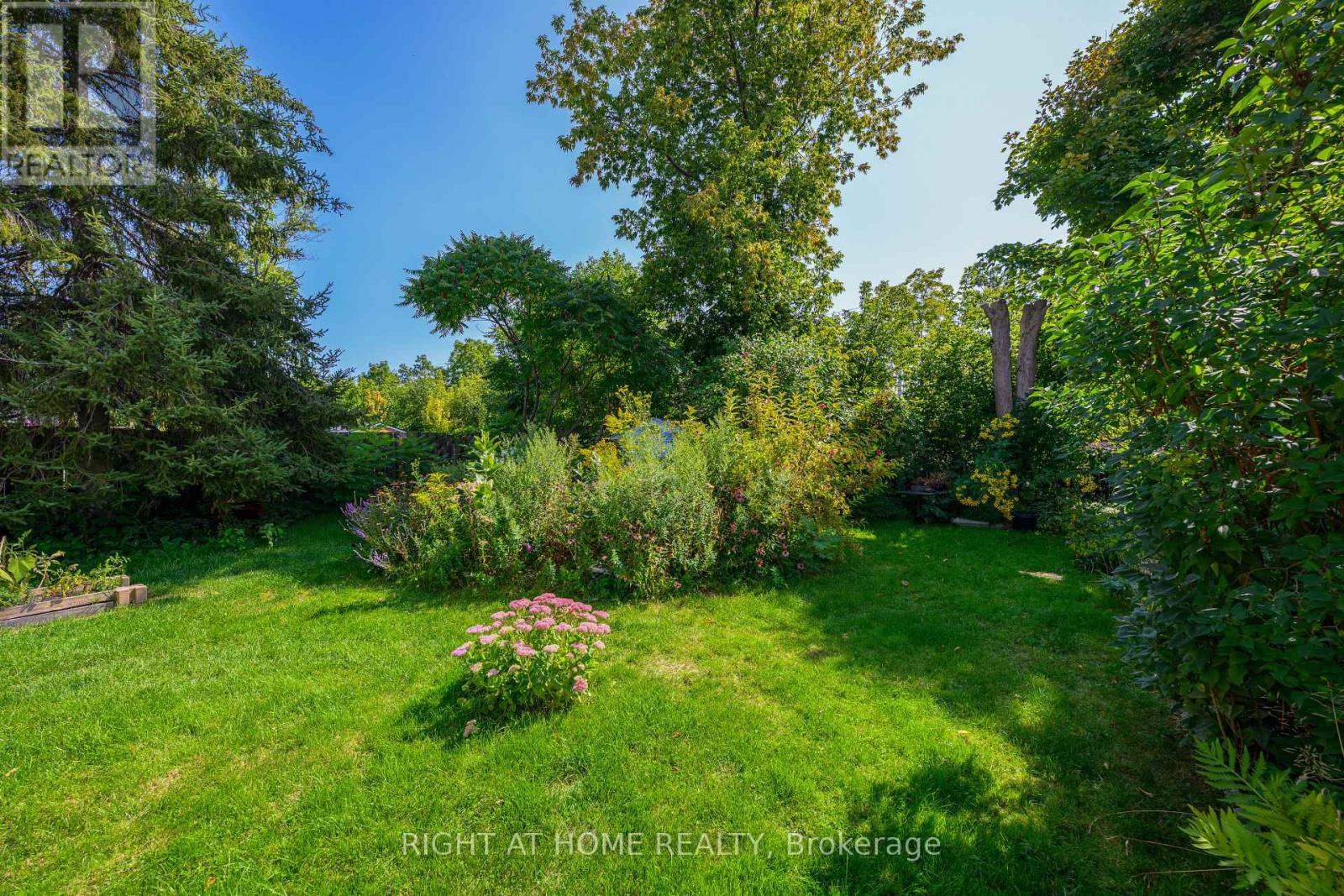 212 Troy Street, Mississauga, Ontario  L5G 1S7 - Photo 4 - W12399378