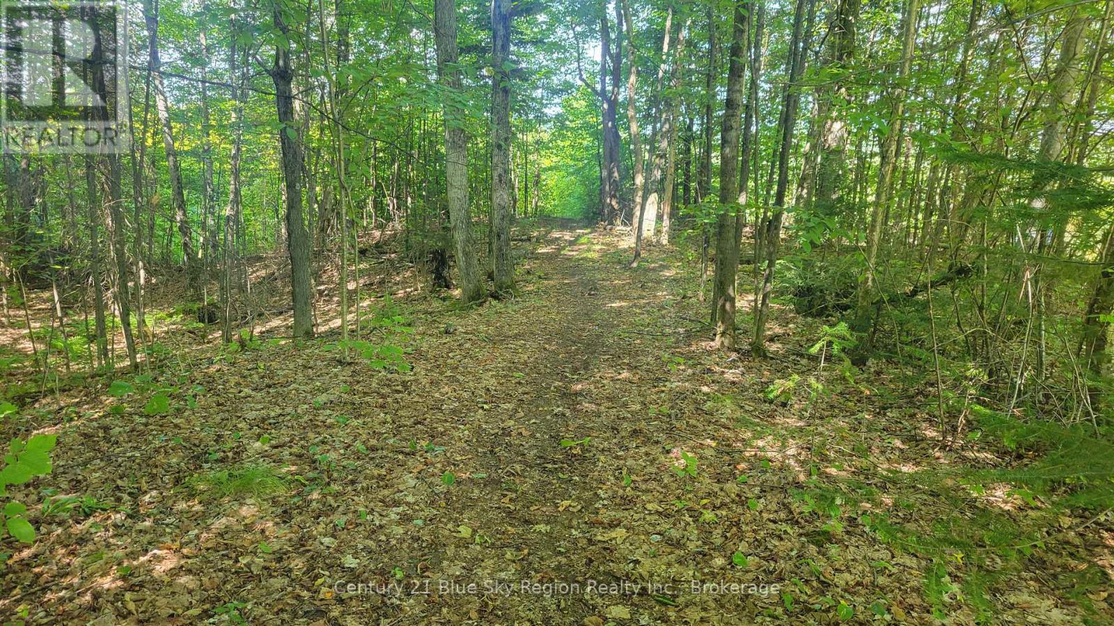 167 English Line, Powassan, Ontario  P0H 1Z0 - Photo 41 - X12399542