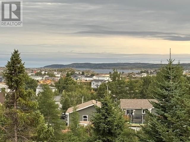 6 Seaview Crescent E, New Wes Valley, Newfoundland & Labrador  A0G 1B0 - Photo 29 - 1290364