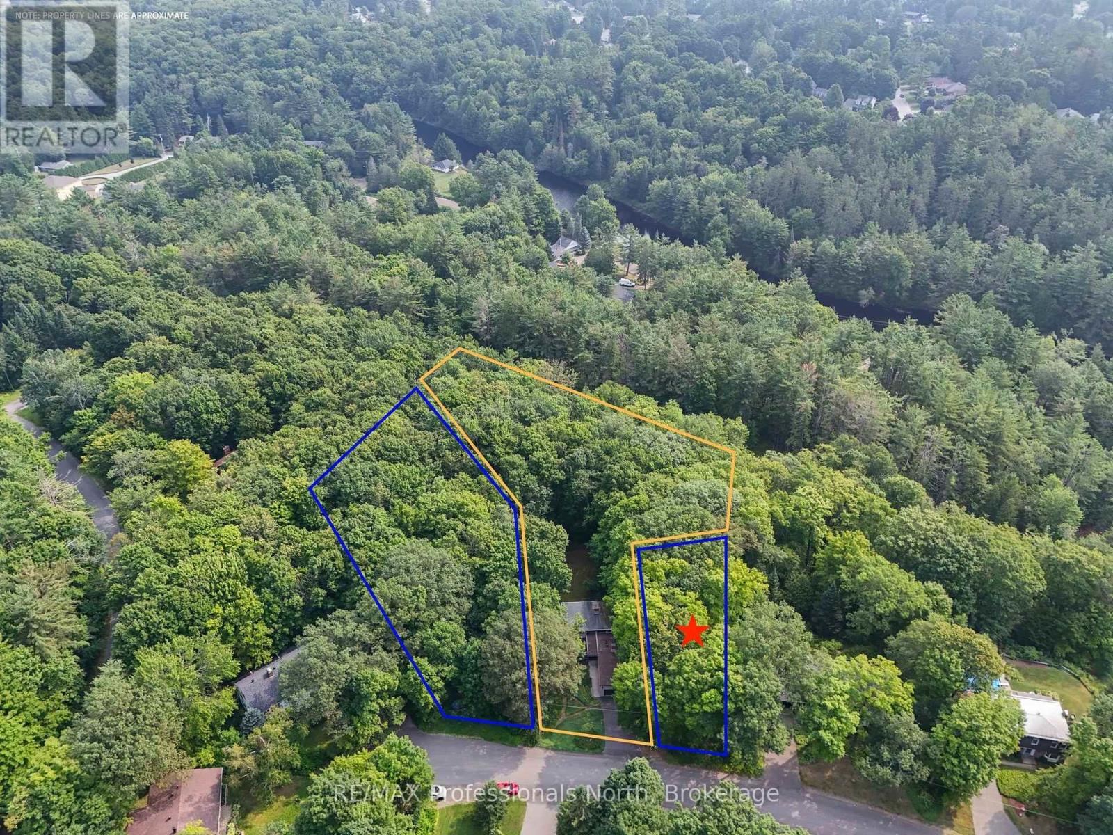 62 Woodland Drive, Bracebridge, Ontario  P1L 1M2 - Photo 3 - X12399805