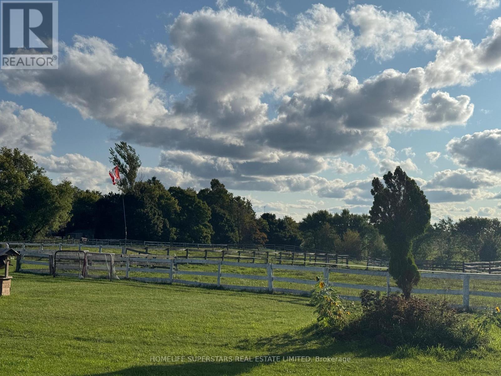 Lorem Ipsum Dol, Mono, Ontario  L9W  - Photo 14 - DEMO28854331
